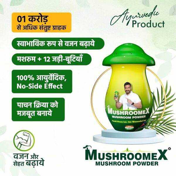 MushroomX Powder - Image 4